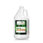 Organic Kelp Fertilizer by GS Plant Foods - Omri Listed(1 Gallon) - Liquid Kelp Concentrate for Gardens, Lawns & Soil Yields 800+ gallons