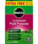 MG M/P Grass Seed 480G DU 119730