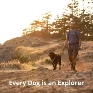 RUFFWEAR Front Range Dog Harness XS – Adjustable, Comfortable Fit