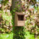 Garden Mile Robin Nest Box Natural Wood Nesting Wall Mounted House Garden Bird Shelter Outdoor Bird Hotel Bird Nesting Nester Box for Wild Birds