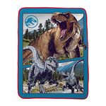 Franco Kids Bedding Super Soft Plush Micro Raschel Throw, 46 in x 60 in, Jurassic World Dominion