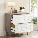 Tribesigns 2-Drawer File Cabinet, L