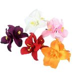 5 Pcs Women Big Double Chiffon Orchid Flower Bohemian Flowers Hair Clip Artificial Tropical Flower Hairpin Hawaii Hawaiian Hibiscus Plumeria Flower Clips Hairpin Barrette for Luau Beach Wedding Party