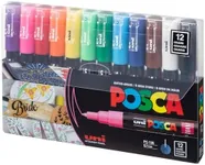 12 Posca Paint Markers, 1M Markers 