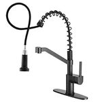 OWOFAN Black Kitchen Faucets with P