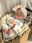 iCradle Reborn Baby Dolls 19 Inch Realistic Newborn Baby Dolls Soft Silicone Baby Doll with Clothes and Toy Accessories