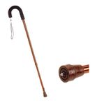 Retractable Ice Cane