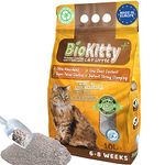 Scoopable Kitty Litter