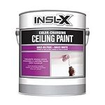 INSL-X Color-Changing Acrylic Ceili