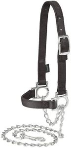 Weaver Leather Nylon Adjustable Sheep Halter with Chain Lead, Black