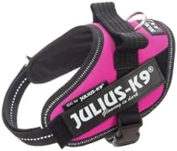 Julius-K9,