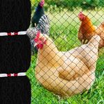 Chicken Coop Netting