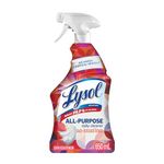 Lysol Antibacterial All Purpose Daily Cleaner, Sun-kissed Linen, 650ml, No Harsh Chemical Residue, 650mL (Packaging May Vary)