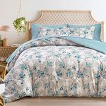 Flysheep Gray Botanical Bed in a Bag Queen Size 7 Pieces, Aqua Grey Leaves Elegant Floral Comforter Bedding Set All Season(1 Comforter, 1 Flat Sheet, 1 Fitted Sheet, 2 Pillow Shams and 2 Pillowcases)