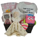 Baby Girl Gift Basket: Blanket, lamb, Onesie: They Did Not Stay 6 Feet Apart and more