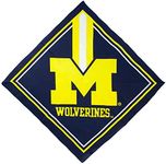 Littlearth NCAA Michigan Wolverines