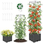 Yotako Self Watering Tomato Planter with Trellis, 2-in-1 Raised Garden Bed Planter with Adjustable Height, Rustproof Metal Planter Box for Climbing Vegetables, Outdoor Indoor Use, Includes Ties Hooks