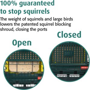 Jacobi Jayne Squirrel-Proof Suet Bird Feeder – Metal, Easy Clean, Hanging
