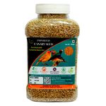 Canary Seeds for Birds 450 Gram, Imported from Belgium Canary Seeds for Canaries, Finches,Waxbills, Budgies and House Sparrows