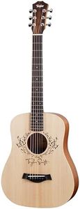 Taylor Gui