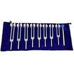 Chakra Tuning Forks Set for Healing, 7 Chakra+1 Soul Purpose Weighted Tuning Forks with Rubber Mallet,Velvet Storage bag, Aluminum Alloy, Silver,(126.22 Hz, 136.1 Hz, 141.27 Hz, 172.06 Hz etc)