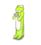 Warmies 3D Hot Water Bottle - Frog