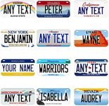 Custom State License Plate | 3 Size