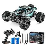 ARTISHION Fast 1:16 RC Truck with A