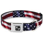 Buckle Down Seatbelt Buckle Dog Collar - American Flag Vivid CLOSE-UP - 1" Wide - Fits 9-15" Neck - Small