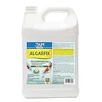 API POND ALGAEFIX Algae Control 1-G
