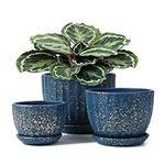 Ceramic Plant Pots with Drainage Ho