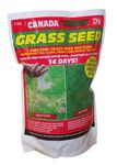 Canada Green 3604 Grass Seed, 1kg