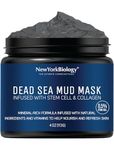 New York Biology Dead Sea Mud Mask for Face, Body | with Stem Cell and Collagen | Spa Quality Pore Refiner for Oily Skin | Natural Skincare for Women, Men | Tighten Skin | 113 g