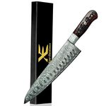 XE Chef Knife 8 inches Japanese Steel Knife High Carbon Stainless Steel 67 Layers Super Sharp Kitchen Knife Forged with Full Tang Blade and Ergonomic Handle