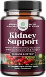 Kidney Support Cranberry Supplement for Women and Men - High Strength Kidney Cleanse and Detox with Stinging Nettle Uva Ursi and Astragalus for Kidney and Bladder Health - Non-GMO Halal and Vegan