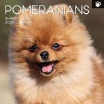 The Gifted Stationary 2026 Square Wall Calendar, Pomeranian, 16-Month Animals Theme Hanging Calendar with 180 Reminder Stickers, Month Planner for Home, or Creative Spaces, 12x12 In