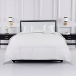 kate spade new york Noel Full/Queen Comforter, Down Alternative Comforter with Jacquard Dot Design, 300 Thread Count and 100% Cotton, All Season Bedding, Machine Washable, White