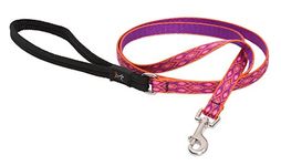 LupinePet Originals 1/2" Alpen Glow 4-foot Padded Handle Leash for Small Pets