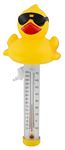 Steinbach Duck 061326 Swimming Thermometer 23 cm