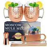 Moscow Mule Copper Mugs - Stainless Steel Mug Copper Cups Set of 2- 18 Ounce Food Safe Hammered Mug Perfect for Cold Drink - MUGS03-2CP (Copper-new)