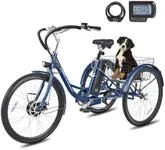 Viribus Electric Tricycle for Adult