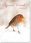 doodlecards Special Friend Christmas Card Robin in Snow Medium Size with Plain Envelope