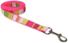 Sassy Dog Wear Dog Leash, Large, Neon Pink/Multi Stripe, 1-Inch Wide, 6-Feet Length