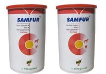 BULLYPET Samfur 300g Pack of 2 Protein Powder