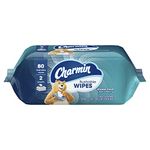 Charmin Flushable Wipes, 2 packs of 40 Flushable Wipes, 80 Total Wipes