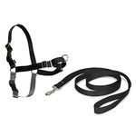 PetSafe Easy Walk Harness, No Pull Harness for Dogs, Adjustable Harness with Included Matching Lead SMALL