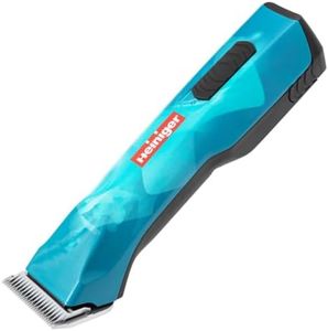 Heiniger O