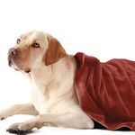 Sassoon Large Pet Towels | Ultra Soft & Microfiber | Quick Drying | Machine Washable | Colour - Rust (Pack of 1)