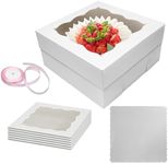 OYEL 10x10x5 Inches Cake Box Set (1