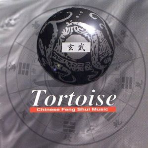 Tortoise: 